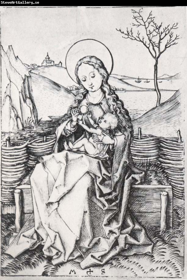 Albrecht Durer The Virgin on a grassy bench